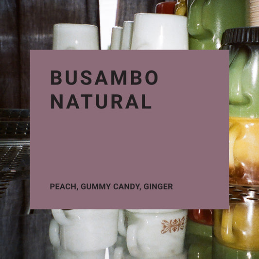 Burundi- Busambo Natural Lot #10