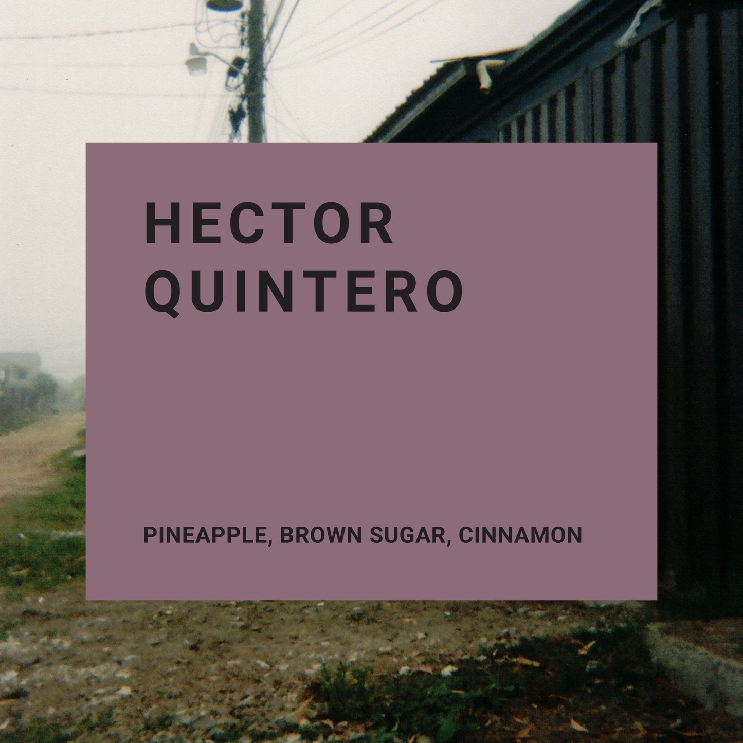 Colombia- Hector Quintero - Recluse Roasting Project 