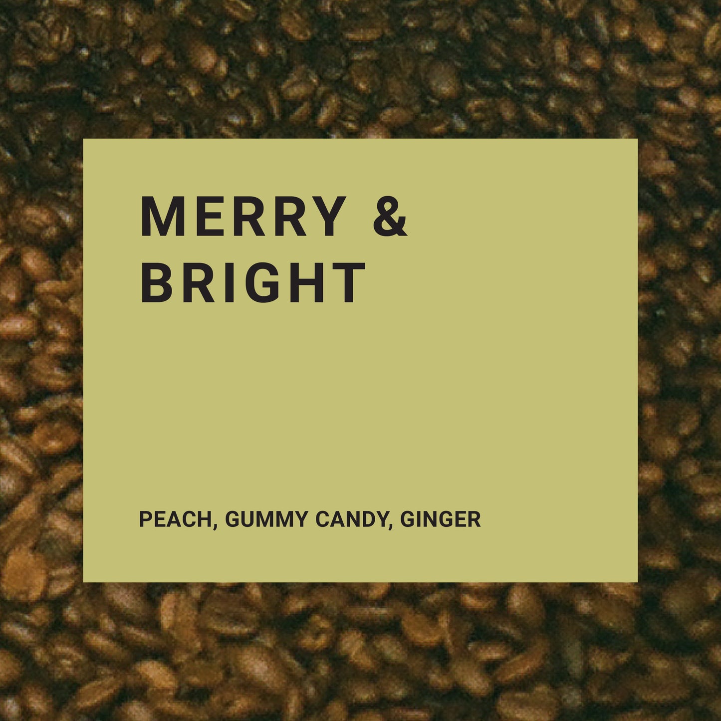 Merry & Bright