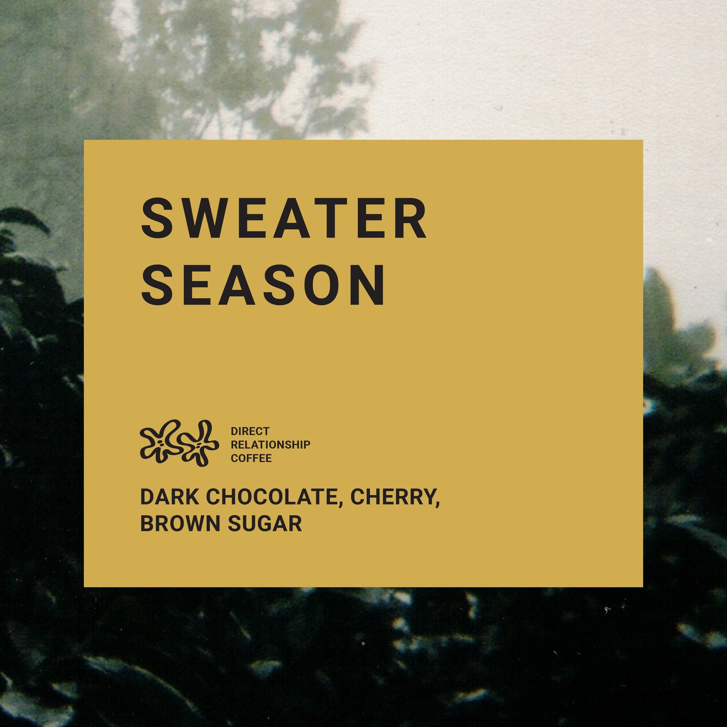 Sweater Season Blend